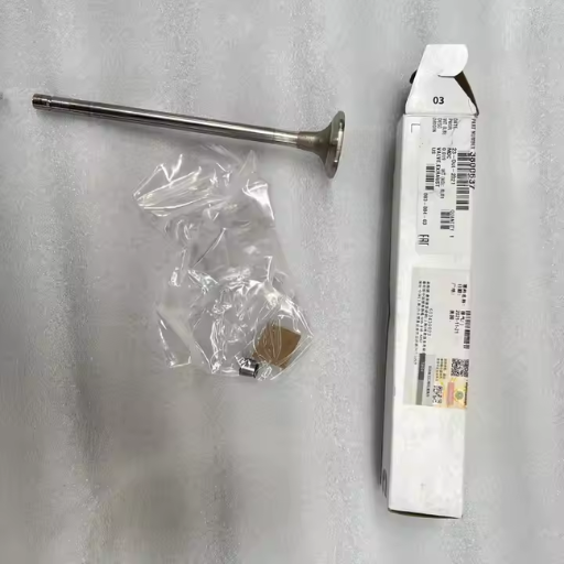 Air intake valve